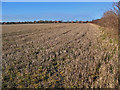 Farmland South of Wetwang