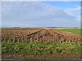 Farmland at SE91295707