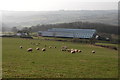 Lower Buckholt Farm