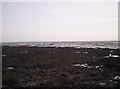 Rock Pools off Johnshaven