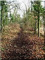 The Paddy Line, Waste Hill