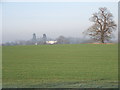 Arable farmland at Foliejon Park