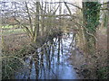 Reflection on the River Wylye