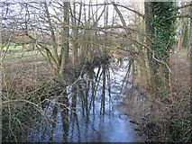 ST8743 : Reflection on the River Wylye by Phil Williams