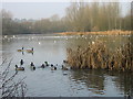 Ford Green Nature Reserve