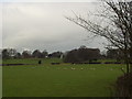 Across the fields to Shadwell Grange, Leeds