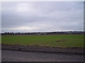 Fields on the outskirts of Arbroath