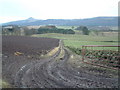 Farm track towards Strathmiglo