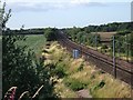 East Coast Main Line near Bishop Wood