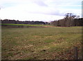 Fields, Woodland and Balnamoon Farm in the Background