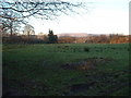 Farmland near Goosnargh