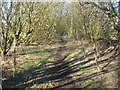 Dismantled railway near Dicconson Lane