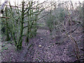 Dismantled railway between Pentre Berw and Benllech