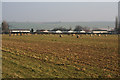 Farmland near Grantham