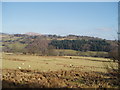 Tryweryn Valley, Moel Emoel in distance