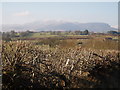 Arenig Fawr from near Rhyd-Uchaf