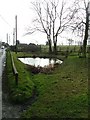 Streatley Village Pond.