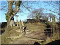 Rusting gate