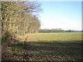 Hunton Bridge: Farmland