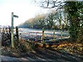 Public Bridleway, Near Liberty Lodge