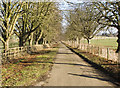 South Newington Road looking back to Barford