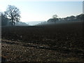 Arable farmland at Hollandridge Farm