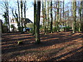 Howe Wood House through beeches