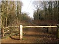 Disused Railway looking east, Ash, Surrey