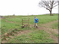 Stile, near Chalfont St Giles