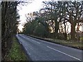 Brickendon Lane, Hertfordshire, looking south