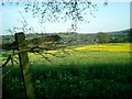 View from Chantries to Hornhatch, Chilworth