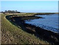 Saxon Shore Way near Twinney