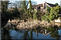 Pond at Kynaston Farm