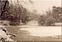 TL4309 : Oakwood Pond, Harlow in Winter by Geoff Barber