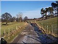 Access Track near Arkleside