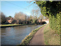 Canal bridge