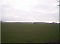 Field Looking Towards Lochty