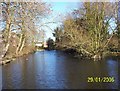 Lent Green Pond, Burnham