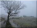 Frosty moorland pasture near Gilligants farm