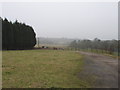 Harrow Weald Common from Hive Road