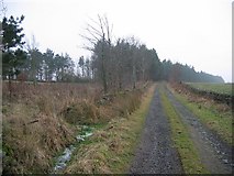 NT6244 : Farm road, Knock Hill. by Richard Webb