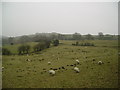 SD3583 : Farmland High Brow Edge by Michael Graham