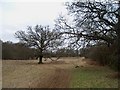 Field near Wykery Copse, Bracknell.