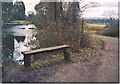 Newhouse Farm Pond, on the Downslink Path.