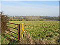 Farmland south of Alderholt Mill farm