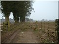 Track to Hinton Barn