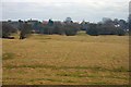 Castle Earthworks at Hutton Conyers