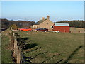 Cottages at Muir of Lour