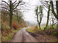 Bridleway to Kitchen Ground