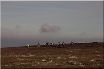 NZ6802 : Walkers on the moor by Colin Grice